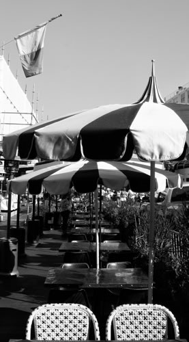 © Brian Gilwee Photography 10 2021 0470b