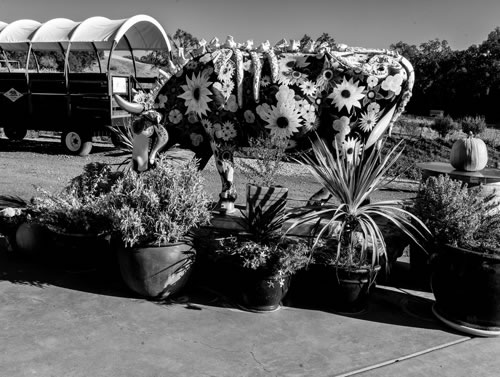 © Brian Gilwee Photography 11 2021 0071b