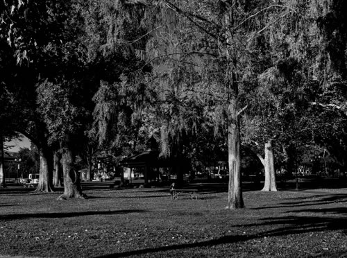 © Brian Gilwee Photography 11 2021 0121b