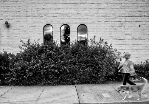 BGP Dec 2017 9556xbw