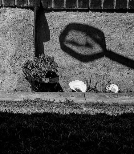 © Brian Gilwee Photography 12 2021 0073b