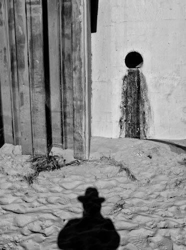 © Brian Gilwee Photography 12 2021 0155b