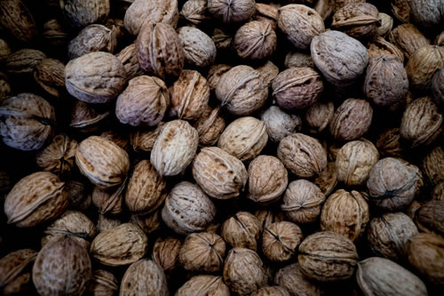 © Brian Gilwee Photography 12 2021 0176