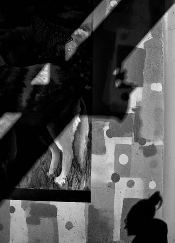 © Brian Gilwee Photography 3 2021 0015b 2