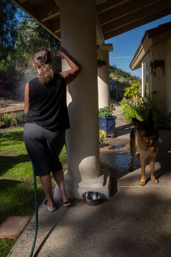 © Brian Gilwee Photography 4 2021 0319x