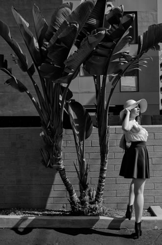 BGP Sept 2017 3393bw